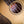 Kala Concert Ukulele Solid Top Spruce Gloss