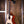 Kala Tenor Ukulele Solid Top Spruce Gloss with Cutaway
