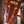 Kala Tenor Ukulele Solid Top Spruce Gloss with Cutaway