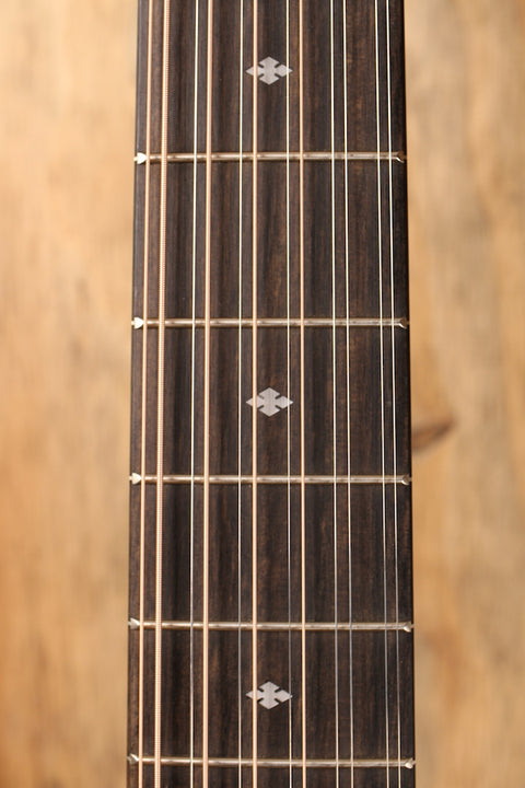 Taylor 250ce-BLK DLX