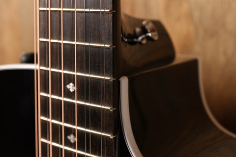 Taylor 250ce-BLK DLX