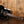 Taylor 250ce-BLK DLX
