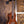 Kala Concert Ukulele Premier Exotic Macawood