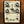 Ibanez ES3 Echo Shifter