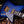 Music Man Mariposa Galaxy Pearl