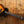 Eastman SB55/V-SB 