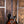PRS Tremonti Custom Color (Adjustable Stoptail)