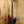 Marcus Miller V3 
