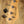 Sire Marcus Miller V3 4-String Natural Mahogany