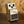 Boss AD-2 Acoustic Preamp