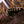 Suhr Standard Legacy Suhr Burst Floyd Rose PRE-ORDER