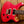 PRS SE Custom 24 Bonnie Pink