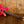 PRS SE Custom 24 Bonnie Pink