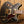 Ibanez AS73G-BKF Semi-Hollow