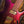 Ibanez SML721 Rose Gold Chameleon