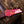 Ibanez SML721 Rose Gold Chameleon