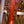 Furch Vintage 2 OM-SR