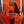 Ibanez AF95 Divine Amber PRE ORDER