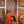 Ibanez AF95 Divine Amber PRE ORDER