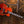 Ibanez AF95 Divine Amber PRE ORDER