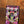 Catalinbread Dreamcoat