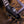 ESP LTD Phoenix-1000 Pre Order