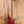 Ibanez SR500E-BM