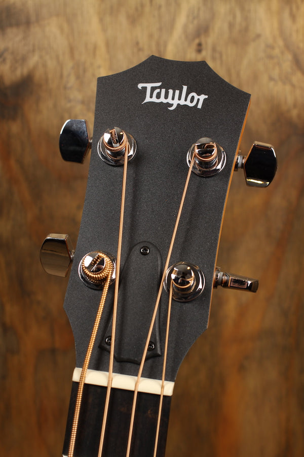 Taylor GS Mini-e Bass