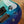 PRS Wood Library Custom 24 Blue Fade (Limited) #0310629