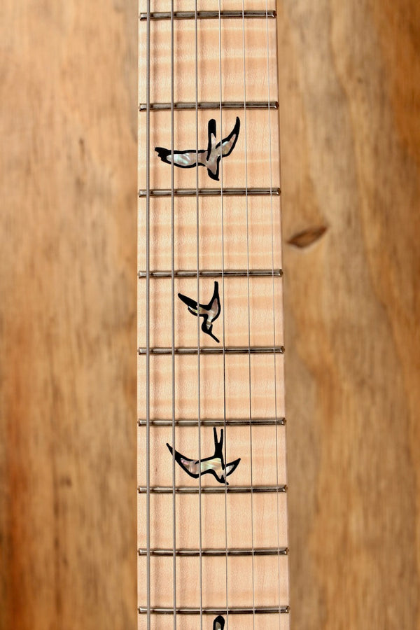 PRS Wood Library Custom 24 Blue Fade (Limited) #0310629