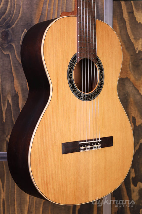 Alhambra 1C HT Hybrid Terra Lefty