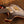 PRS Private Stock Custom 24 Chesapeake Bay PS#9303 