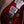 PRS Custom 24 