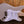 PRS Silver Sky Maple Moc Sand Satin Maple