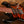 Ibanez GRX70QA Sunburst