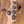 Sire Marcus Miller V3 5-String Tobacco Sunburst PRE-Owned