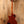 Epiphone Les Paul Standard 50s Metallic Gold