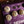 Strymon Zelzah Multidimensional Phaser